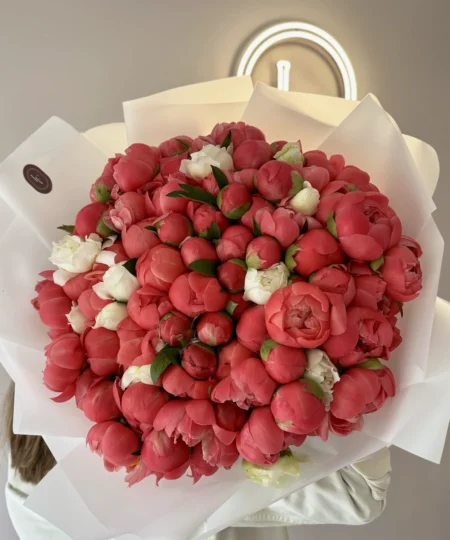 Coral Charm