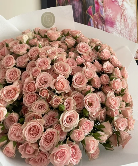Daisy Spray Rose