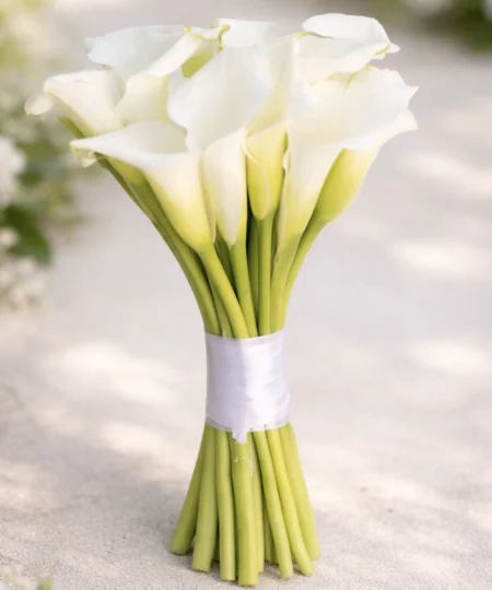 Minimalistyczny bukiet ślubny z białych kalii związanych satynową wstążką – elegancka i nowoczesna florystyka ślubna Lu La Fleur.
