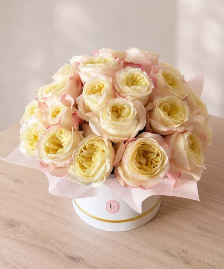 Elegancki flower box z kremowych róż angielskich w odcieniach ecru i delikatnego różu, ułożonych w luksusowym białym pudełku